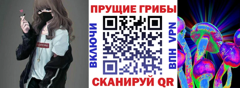 Купить закладки  Кораблино  Псилоцибиновые грибы Psilocybe 